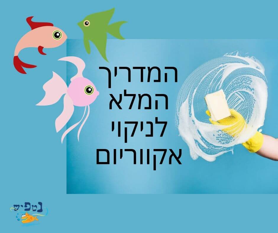 מים עכורים באקווריום